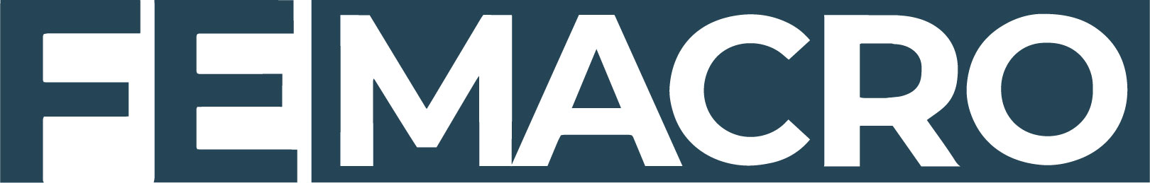 FE MACRO logo
